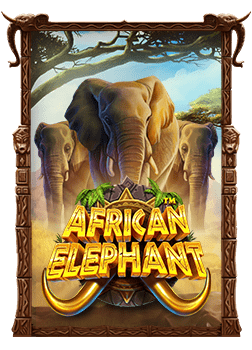 5 Lions Gold โบนัส สูตรที่คุณต้องรู้